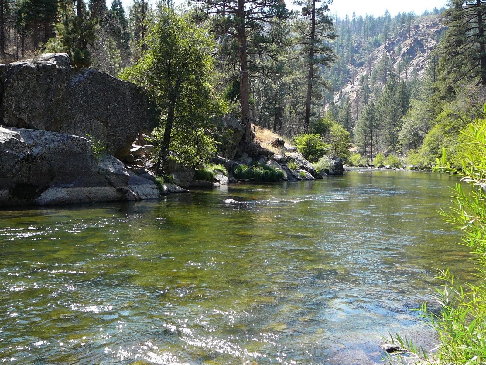 Sunlight on a clear mountain river
