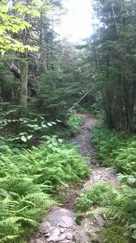 Northern Catskills - North Point 