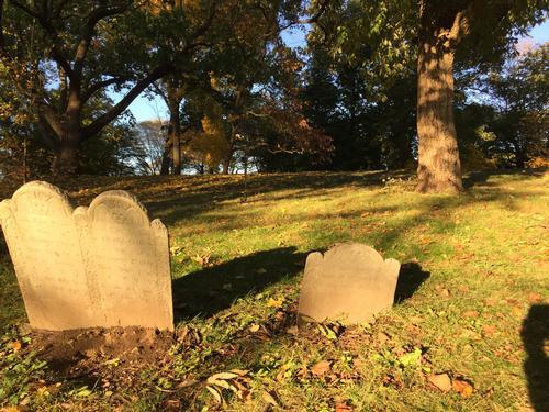 A Spectacular Fall Foliage Hike in the Arnold Arboretum