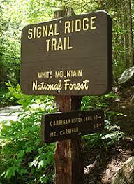 Mt Carrigain