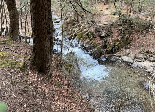 Q-MoB Hike: Greylock Glen