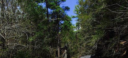 Q-MoB Hike: Campbell Falls