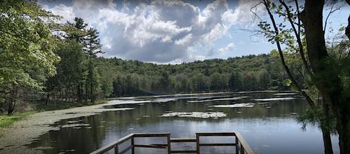 Q-MoB Hike: Hand Hollow Conservation Area