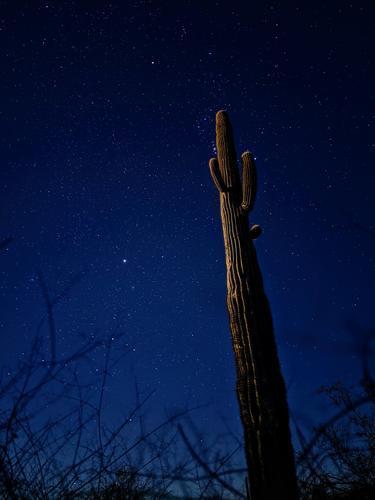 Phoenix Mountains by Moonlight