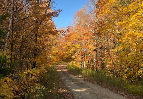 Dutch Hill Peak Fall Foliage Hike