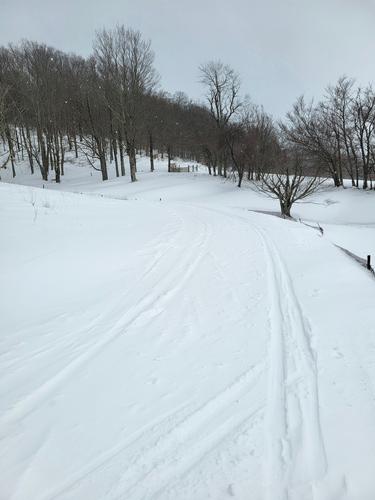 X-Country Ski Day at White Grass
