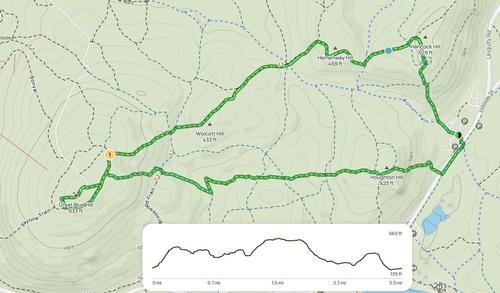 GO Get Fit #1: Great Blue Hill via Skyline Trail