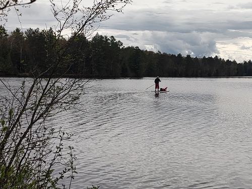 Learn to Paddleboard