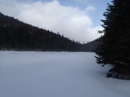 Greeley Ponds via Waterville Valley Hike