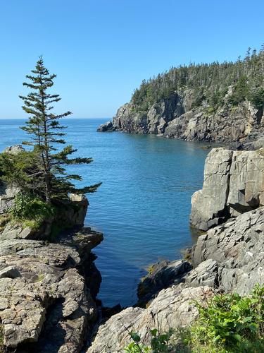 Downeast Maine Coast & Monhegan Island!