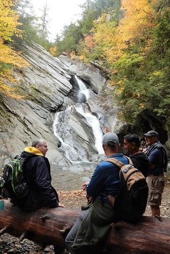 Hamilton Falls hike