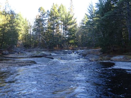 Woods of Washington & Hancock Counties