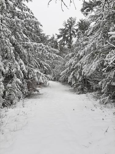 Bear Brook State Park