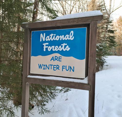 Getting Our Cross Country Ski Fix