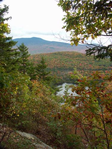 Wachipauka Pond Hike (with overlook)