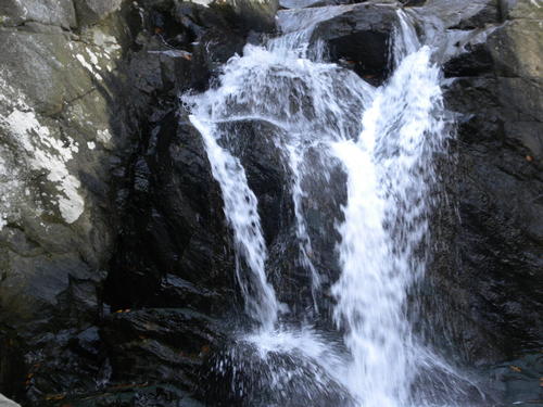 Hike Scotts Run Nature Preserve