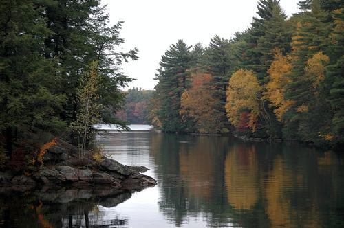 Bigelow Hollow State Park/Nipmuck Forest