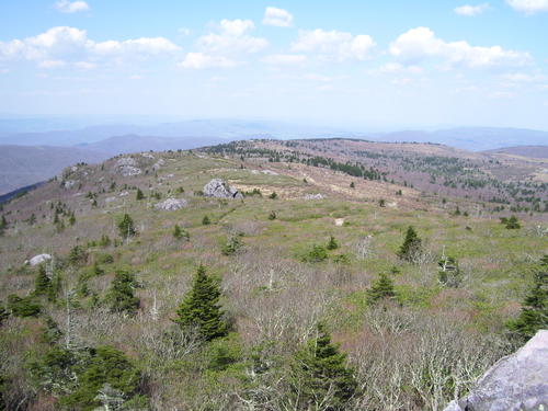 Mt. Rogers Summit Hike