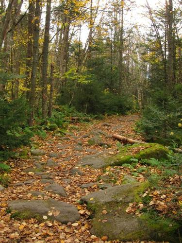 Spruce Mountain Hike
