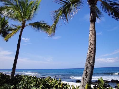 Malaekahana Beach & Goat Island Snorkel
