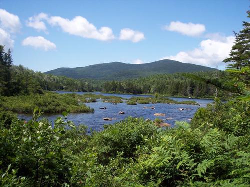 Flat Mountain Pond Hike