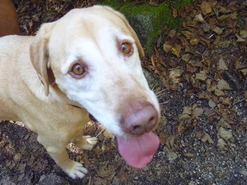 Mt. Osceola Hike