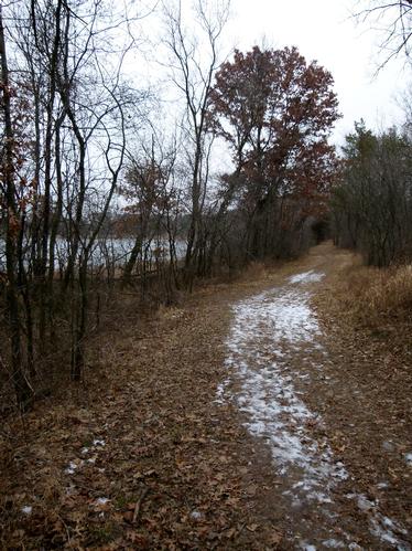 Pine Point Park Trail Morning Hike