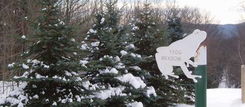 MLK Ski Weekend at Frog Meadow B&B