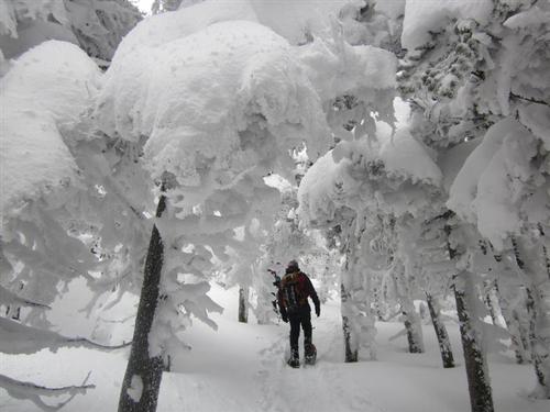 North and South Kinsman Hike