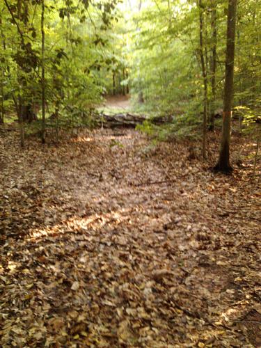 Mountaing Biking-Pocahontas SP