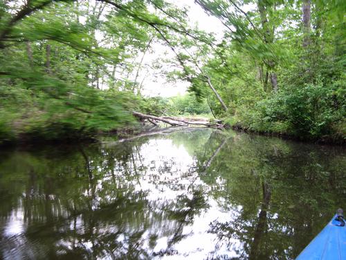 Kayaking, Pocahotas State Park