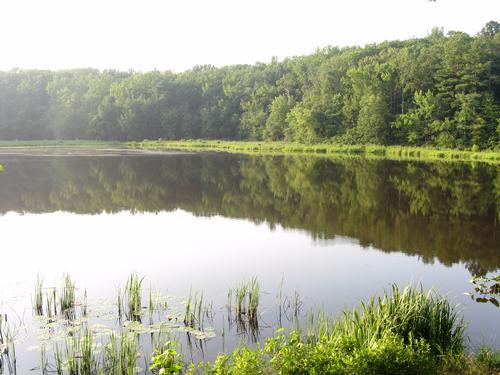 Pocahontas State Park Hike