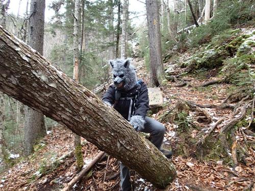 Nancy Pond Haunted Hike