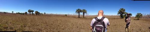 Hike in Florida's Big Cypress Preserve