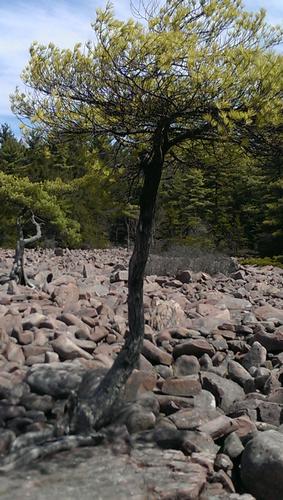 Hickory Run State Park-Boulder Hike
