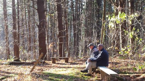 Hike, Sauna, Potluck