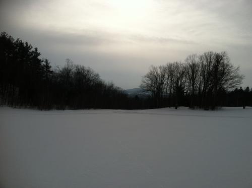 Cross Country Skiing