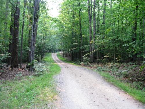 Mountain Biking Pocahontas State Park