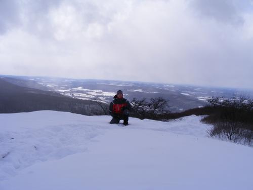 Mt. Washington Forest, Berkshires, MA