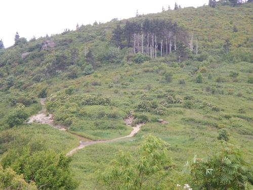 Art Loeb Trail / Clingmans Dome