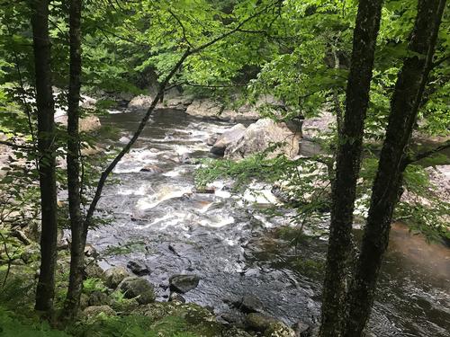 Hamilton Falls Trail