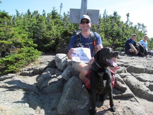 Mt Jackson and Webster Cliff Hike
