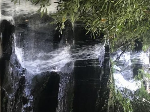 Bartram Trail Hike 