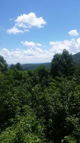 2nd Bartram Trail Hike