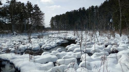 Wells State Park