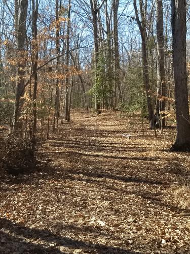 3rd Saturday hike and lunch