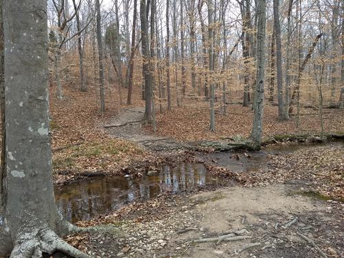 Powhatan State Park Hike