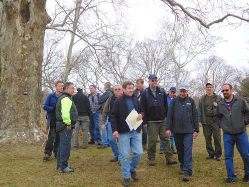 Winter Hike in Arnold Arboretum