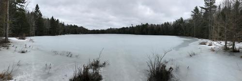 Sprague Pond trail (NEW DATE)