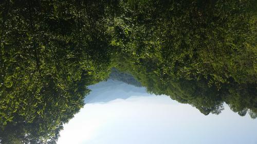 Bartram Trail - AT Hike